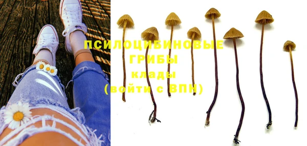 MDMA Premium VHQ Зеленодольск
